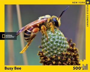 Busy Bee Puzzle